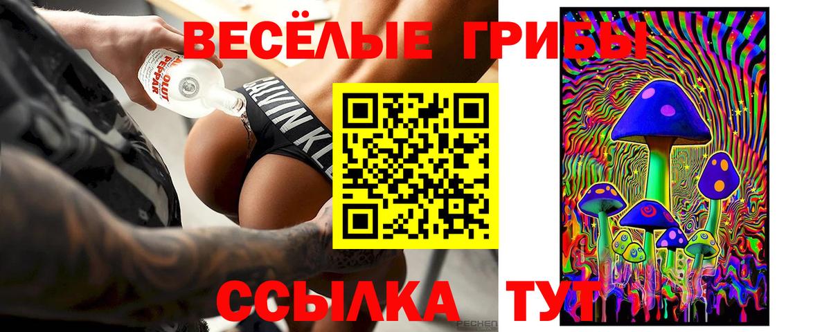 Галлюциногенные грибы Psilocybe  Вход с VPN  купить   Заринск 